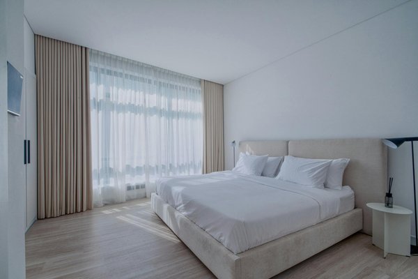 Comment organiser un camping pour observer les oiseaux rares en forêt tropicale?